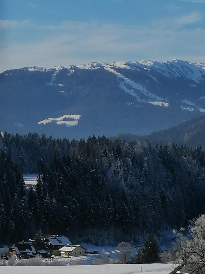 Appartement Taurachblick Tamsweg Bagian luar foto